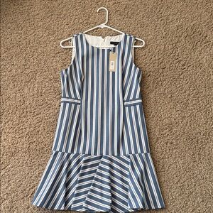 Banana Republic Blue and White Striped Dress